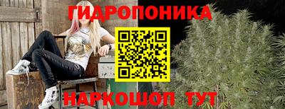 марихуана Аргун
