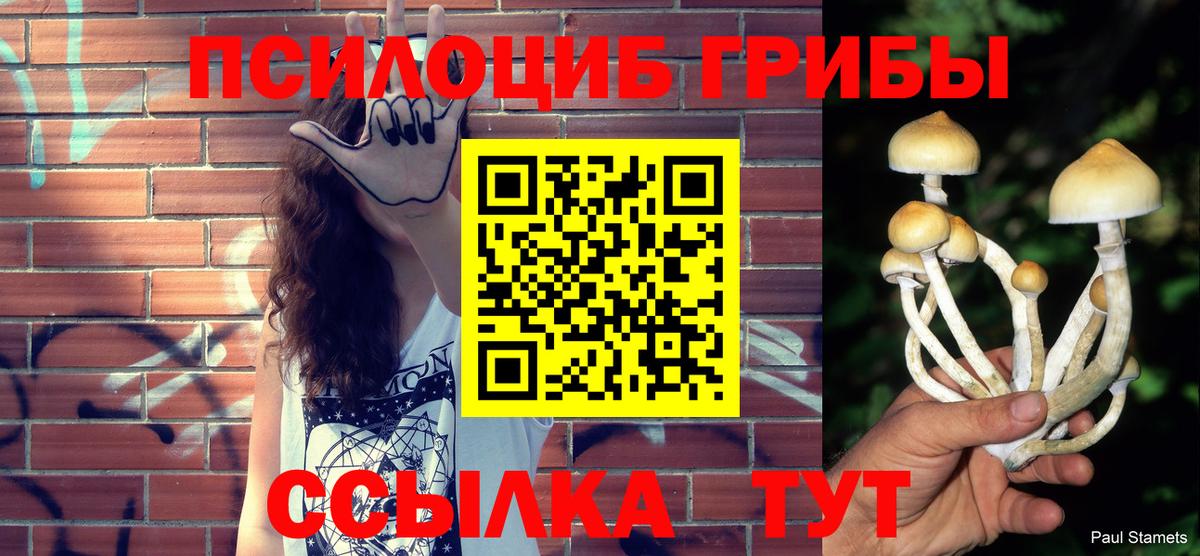Галлюциногенные грибы Cubensis  Галлюциногенные грибы MAGIC MUSHROOMS  Апрелевка  Вход с VPN 