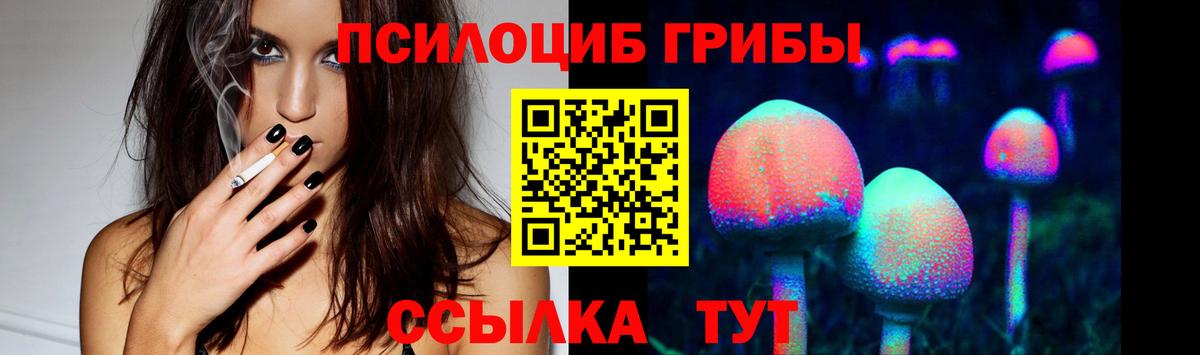 Псилоцибиновые грибы Magic Shrooms Апрелевка